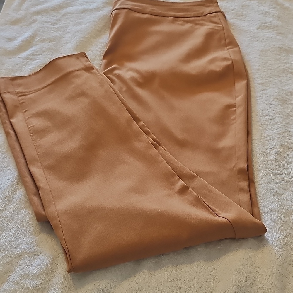 NEW JM Collection Plus Size Pull On Cambridge Pants Canyon Trail 1X - Picture 9 of 15